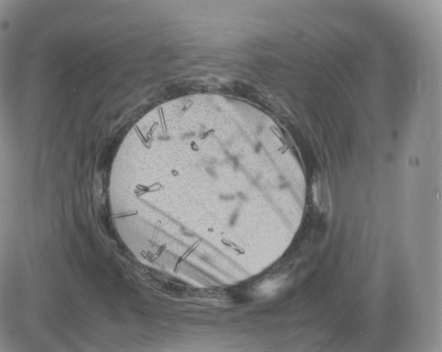 X0000083031347200702231853