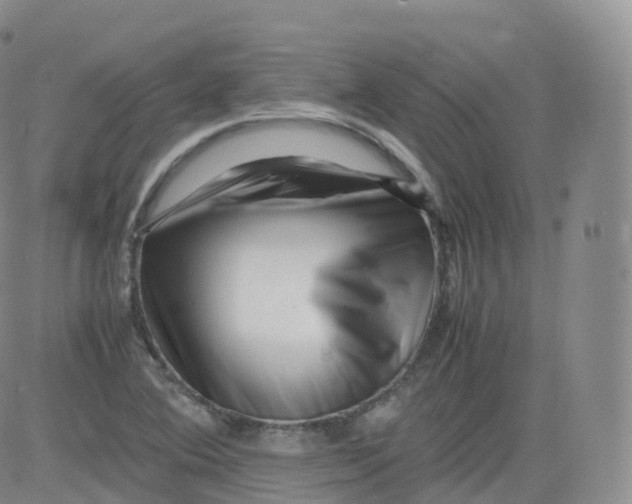 X0000083031364200702231853