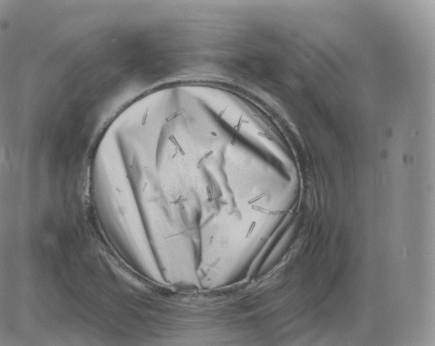 X0000083031366200702231853