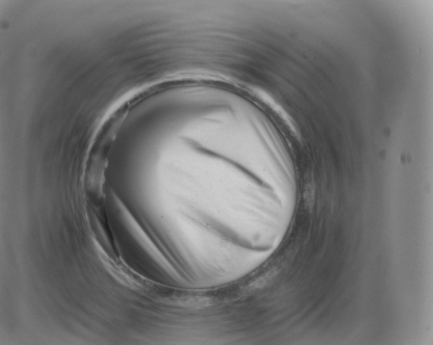 X0000083031372200702231853