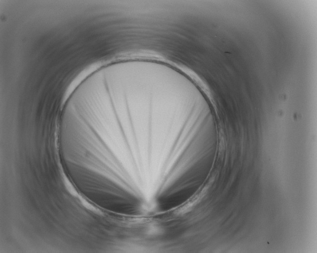 X0000083031390200702231853