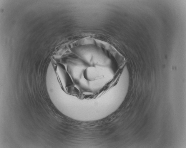 X0000083031394200702231852