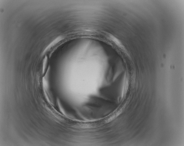 X0000083031402200702231852