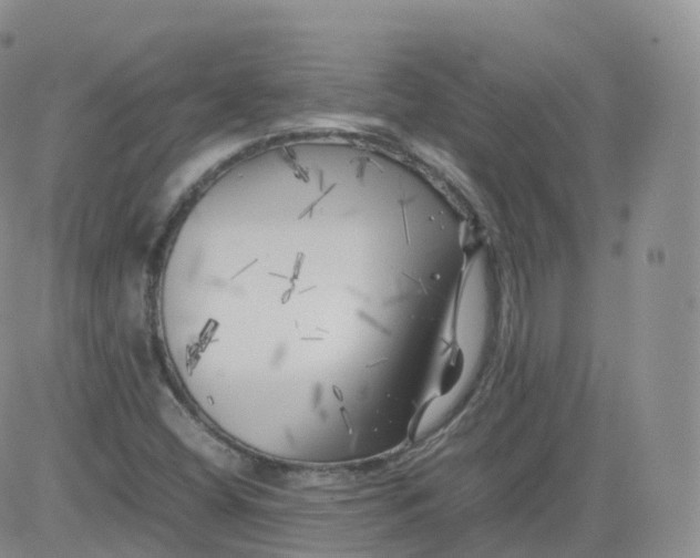 X0000083031404200702231852