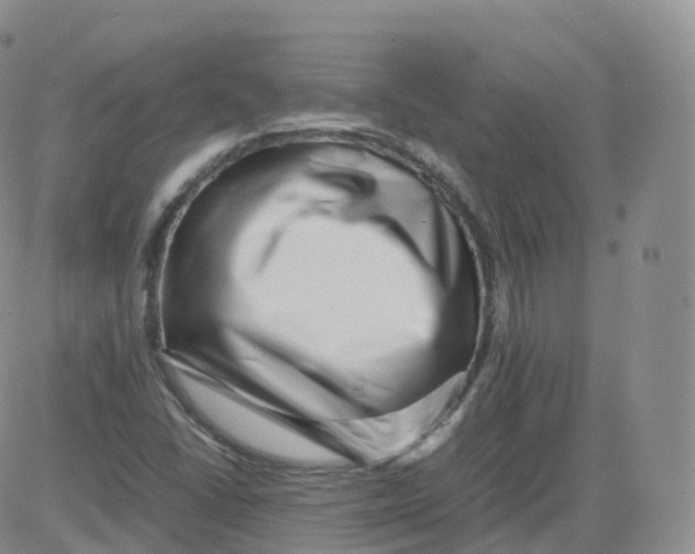 X0000083031406200702231852