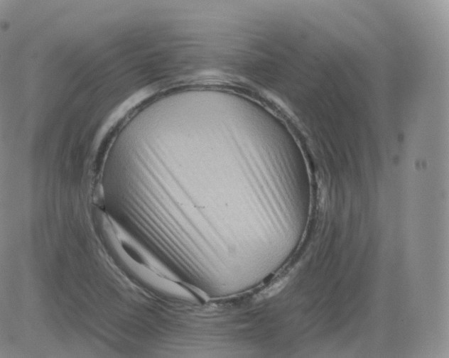 X0000083031410200702231852