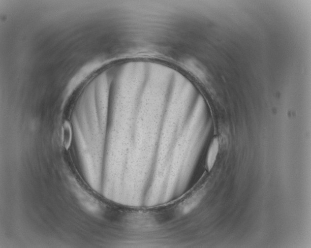 X0000083031414200702231852