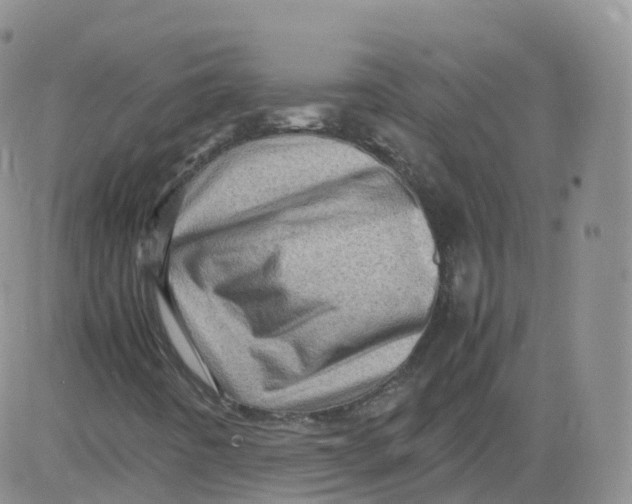 X0000083031442200702231852