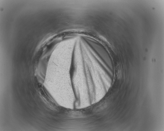 X0000083031448200702231852