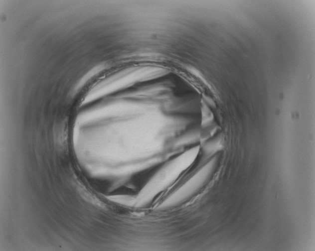 X0000083031450200702231852