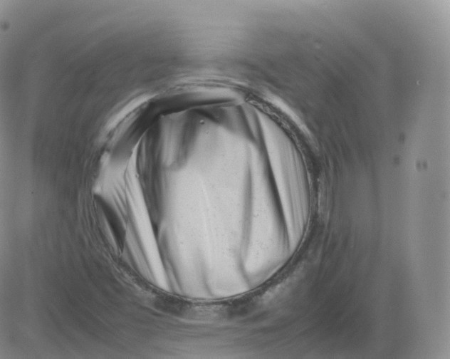X0000083031453200702231852