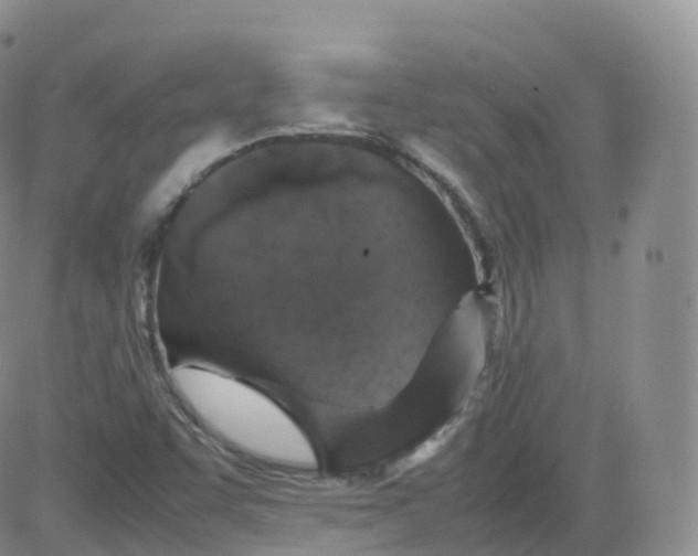 X0000083031455200702231852