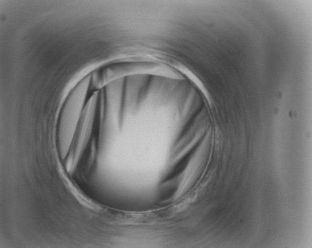 X0000083031485200702231851