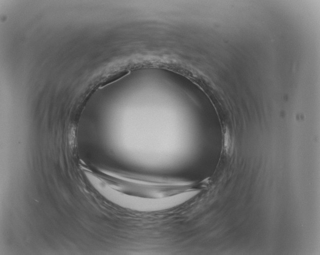 X0000083031492200702231850