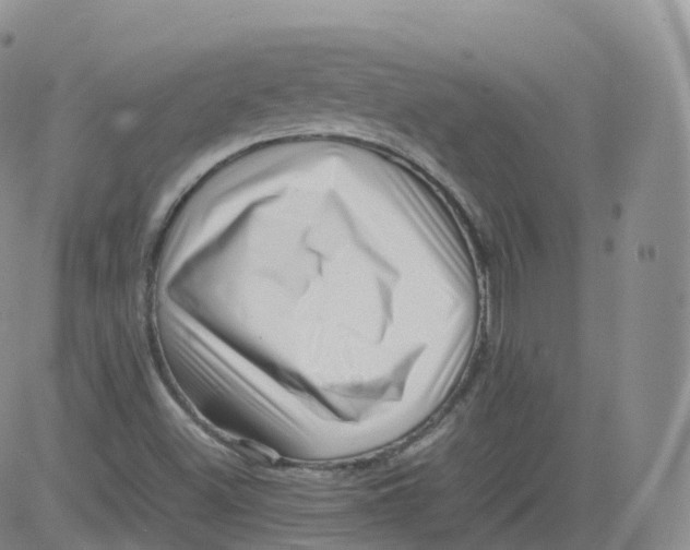 X0000083031500200702231850