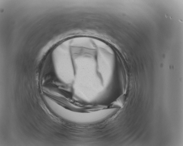 X0000083031503200702231850