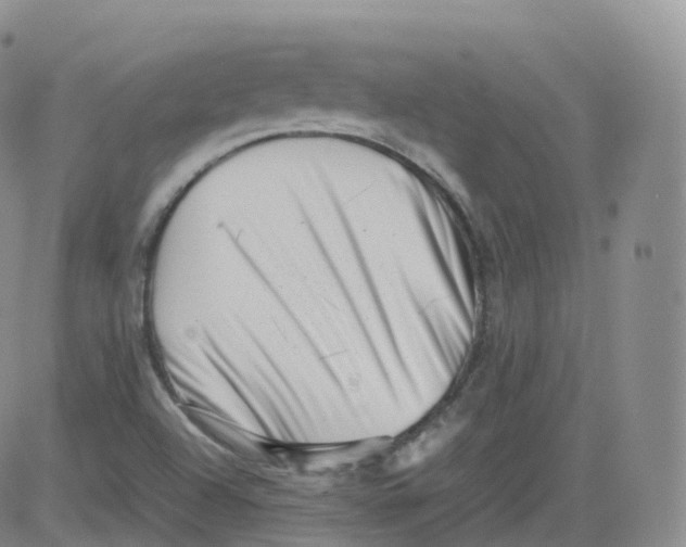 X0000083031504200702231850