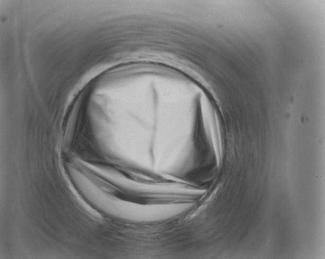X0000083031525200702231851