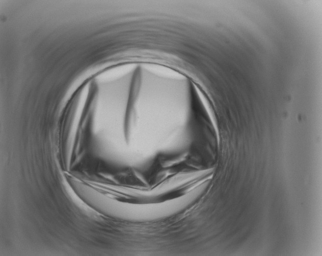 X0000083031531200702231851