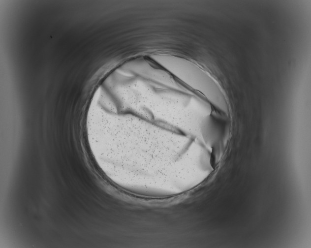 X0000083030001200703022037