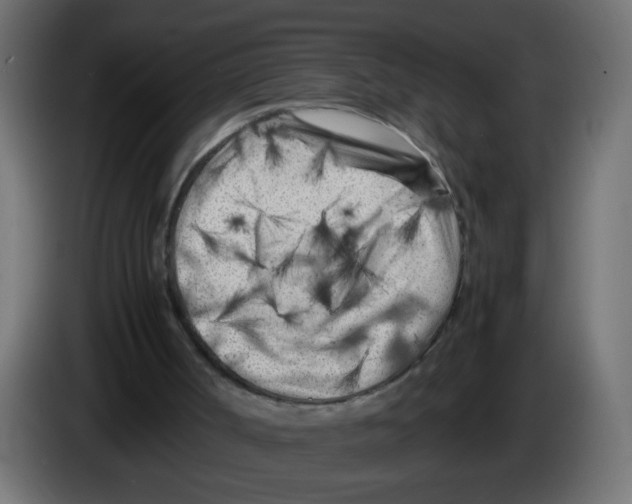 X0000083030002200703022036