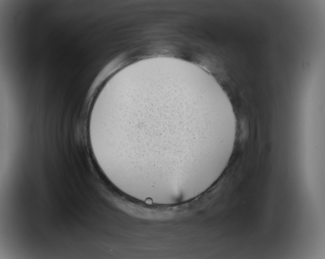 X0000083030004200703022036