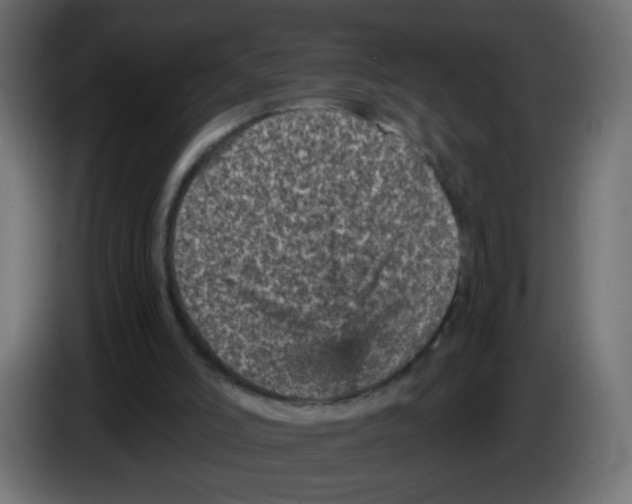 X0000083030006200703022036