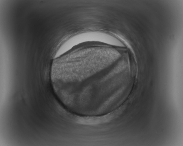 X0000083030009200703022036