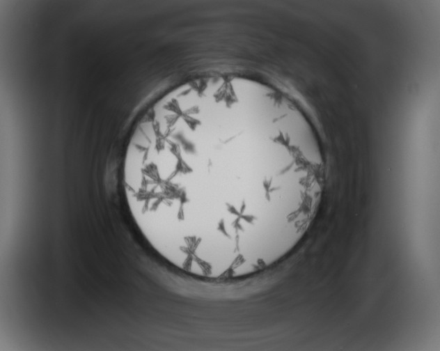 X0000083030010200703022036