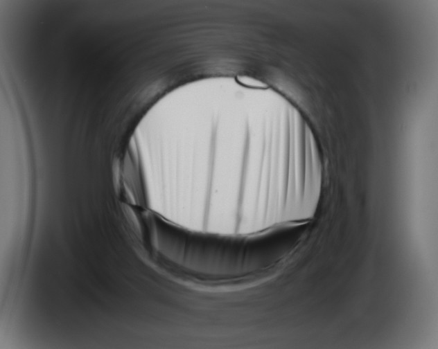 X0000083030013200703022036