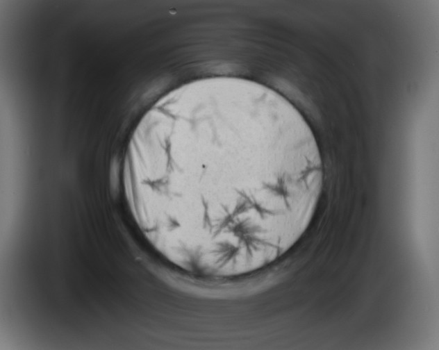 X0000083030014200703022036