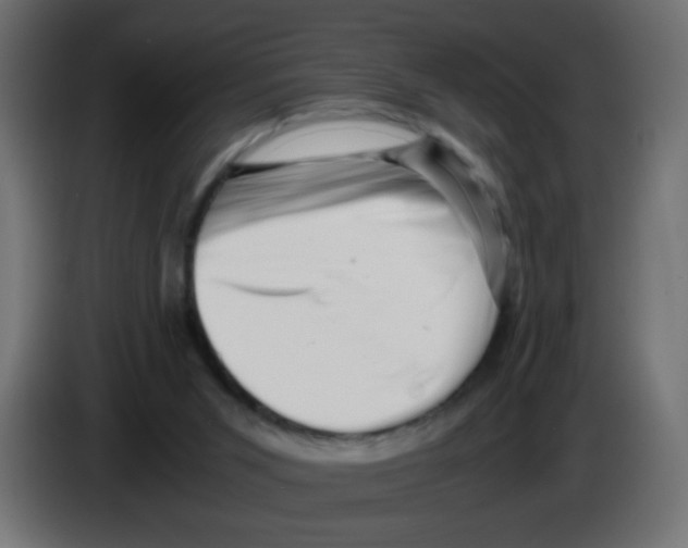 X0000083030015200703022036