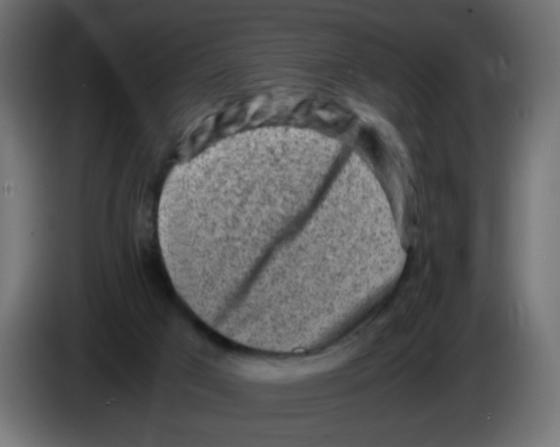 X0000083030017200703022036