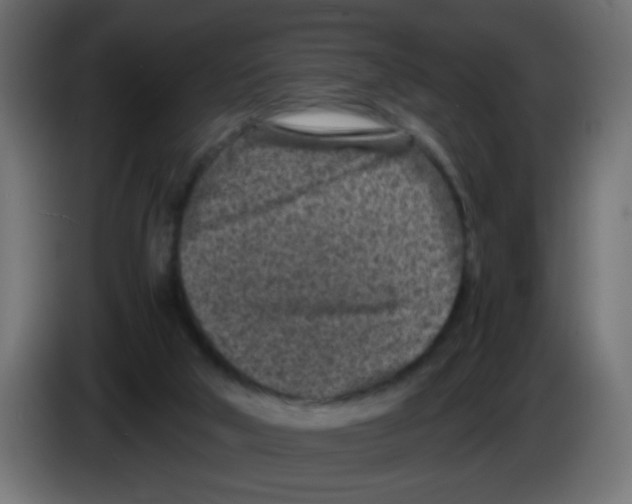 X0000083030018200703022036