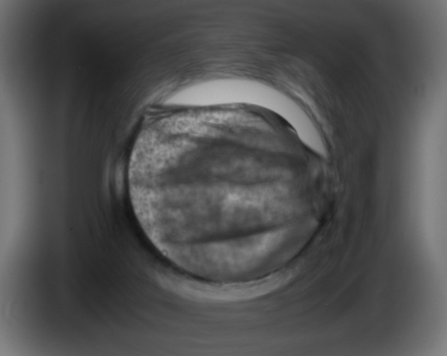 X0000083030019200703022036