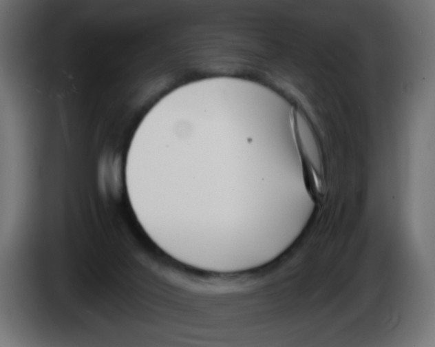 X0000083030020200703022036