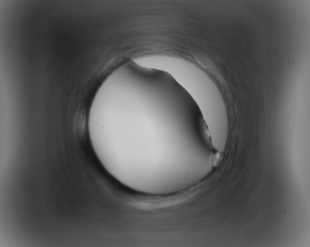 X0000083030021200703022036