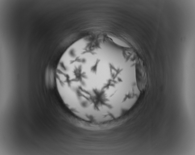 X0000083030022200703022036