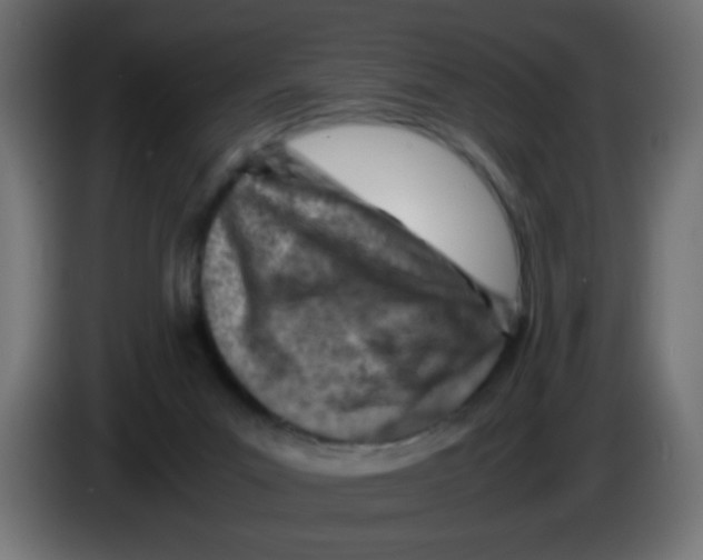 X0000083030023200703022036