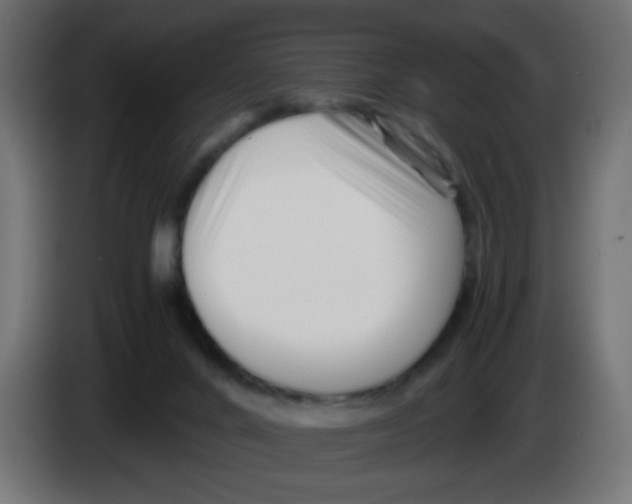 X0000083030024200703022036