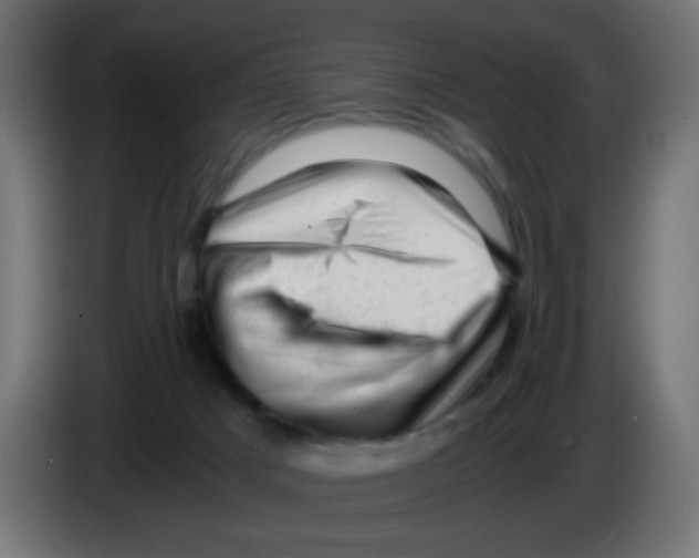 X0000083030025200703022036