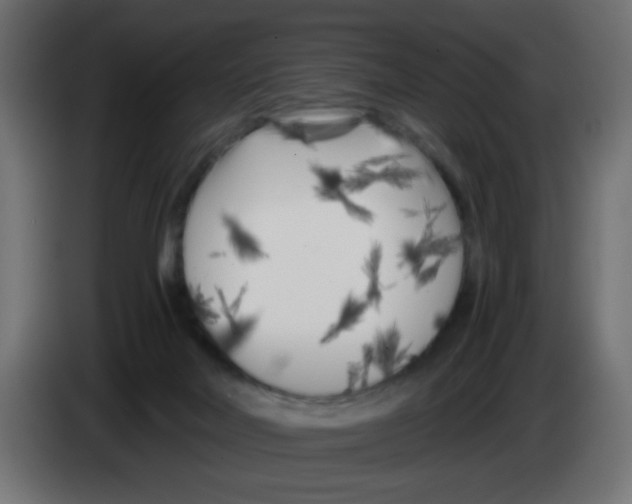 X0000083030026200703022036