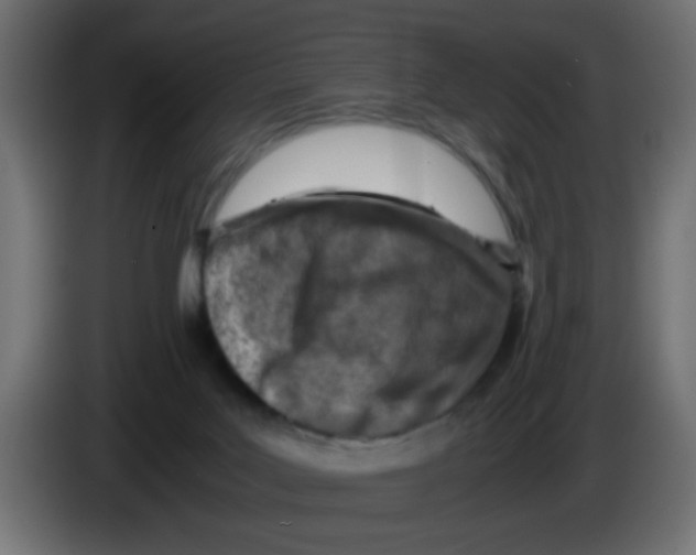 X0000083030027200703022036