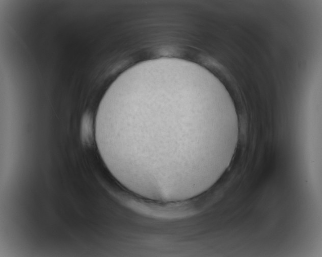 X0000083030028200703022036