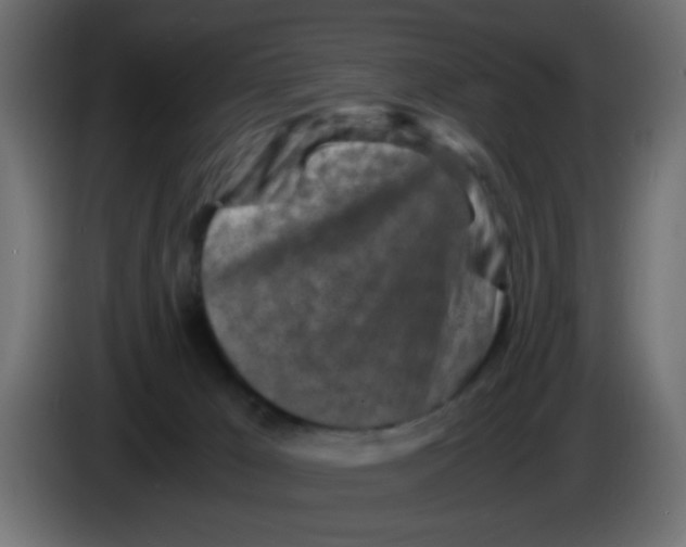 X0000083030029200703022036