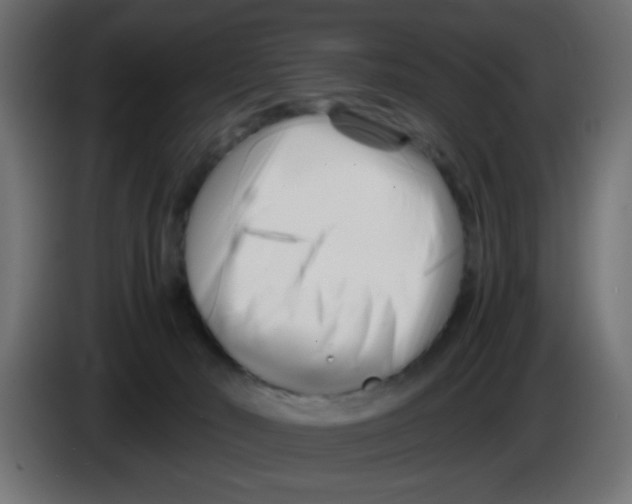 X0000083030030200703022036