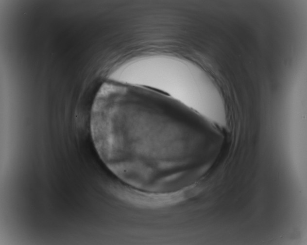 X0000083030031200703022036