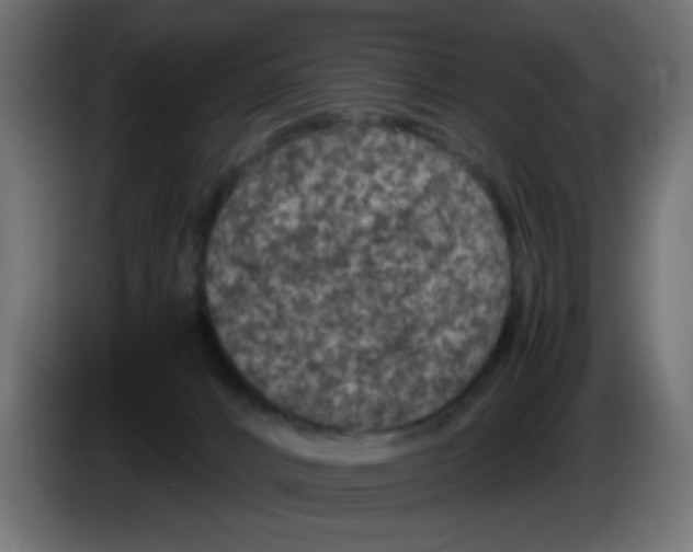 X0000083030032200703022036