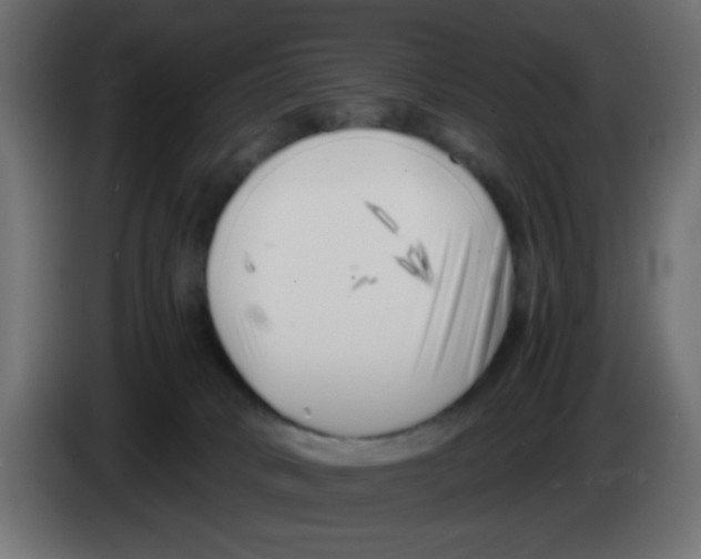 X0000083030034200703022036