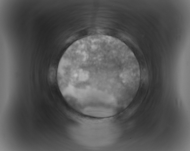 X0000083030036200703022036